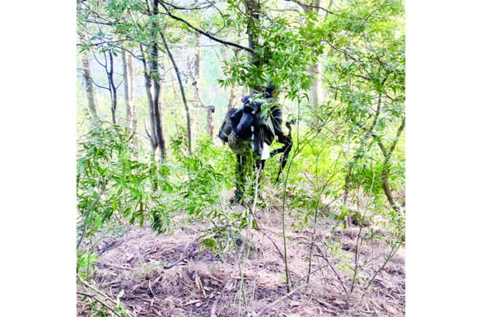 Troops continue searches in Gambhir Mugalan forests of Rajouri on Sunday. -Excelsior/Imran
