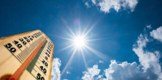 Severe Heatwave Conditions Likely To Prevail Over Parts Of India: IMD