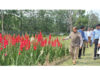 Union Minister Dr Jitendra Singh visiting the "Flori Garden" at Institute of Himalayan Bioresource Technology, Palampur, Himachal Pradesh on Thursday.