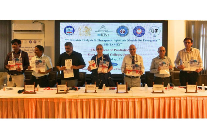 Dignitaries on dais releasing workshop souvenir.