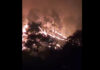 Forest Fire Breaks Out In J&K’s Rajouri, Vast Forest Area Damaged