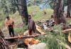 Over 60 Sheep, Goats Killed In Lightening Strike In J&K’s Pahalgam