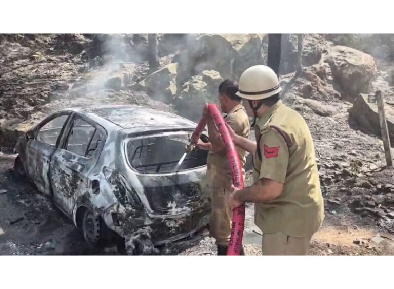 Fire breaks out in moving car - Daily Excelsior