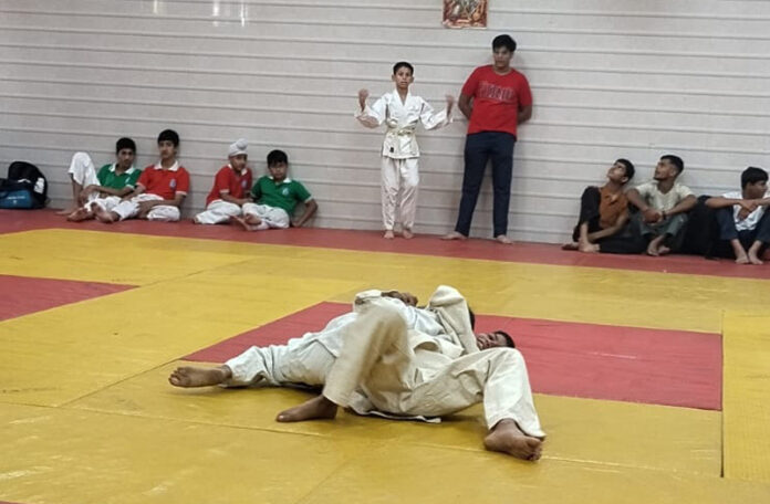 Judo players in action during a match.