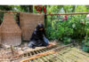 Mir Behri's Tanzeela - a Master's student in Persian making Waguv, traditional handwoven mat. -Excelsior/Shakeel