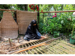 Mir Behri's Tanzeela - a Master's student in Persian making Waguv, traditional handwoven mat. -Excelsior/Shakeel