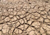 Rainfall Deficit In Jammu And Kashmir Triggers Fears Of Water Crisis