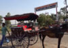Traditional ‘Tongas’ Gather Popularity In Jammu Border Belt Amid PM Appeal To Save Fuel