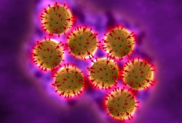 virus