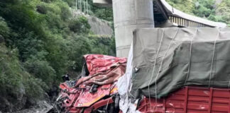 Truck Driver Killed In Highway Accident At Nachlana
