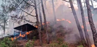 Massive Forest Fire Erupts Across Multiple Areas In Rajouri Forest Division; Firefighting Efforts Intensified