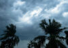 Heat, Humidity Of India’s Monsoon Could Extend Summer Heat Stress As Climate Warms: Study