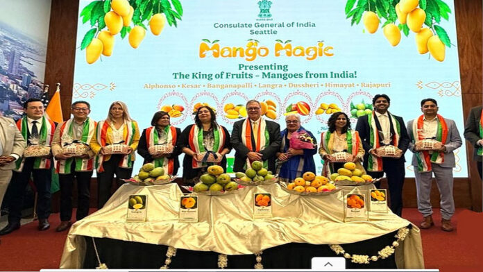 Mango