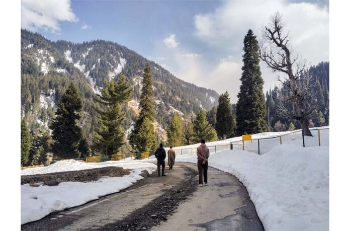 kashmir