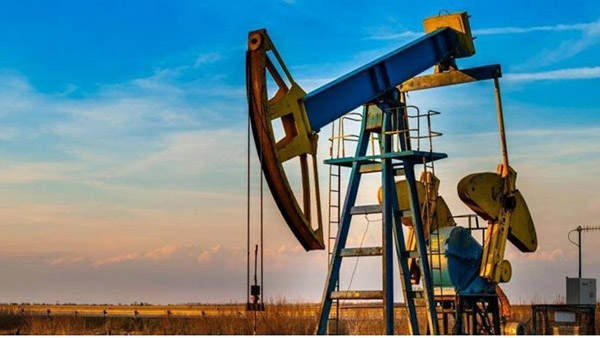 oil
