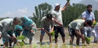 Pulwama PDP MLA Join Protest Against Jk Govt’s Attempts To Evict Land Tillers